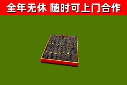 依安回收海参